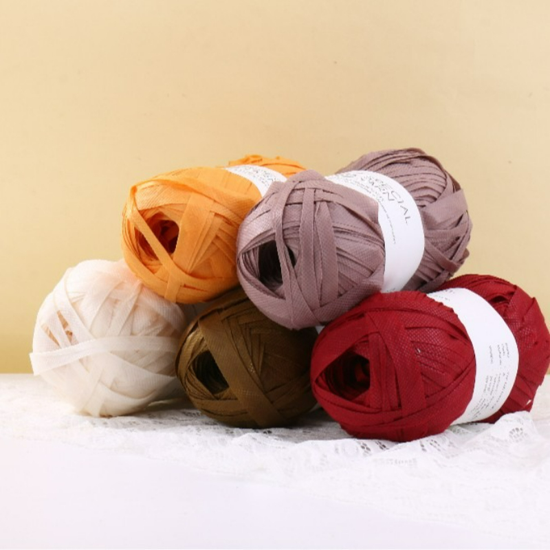100g/pcs Raffia Flat Yarn for  - Crochet Bag Raffia avis et prix